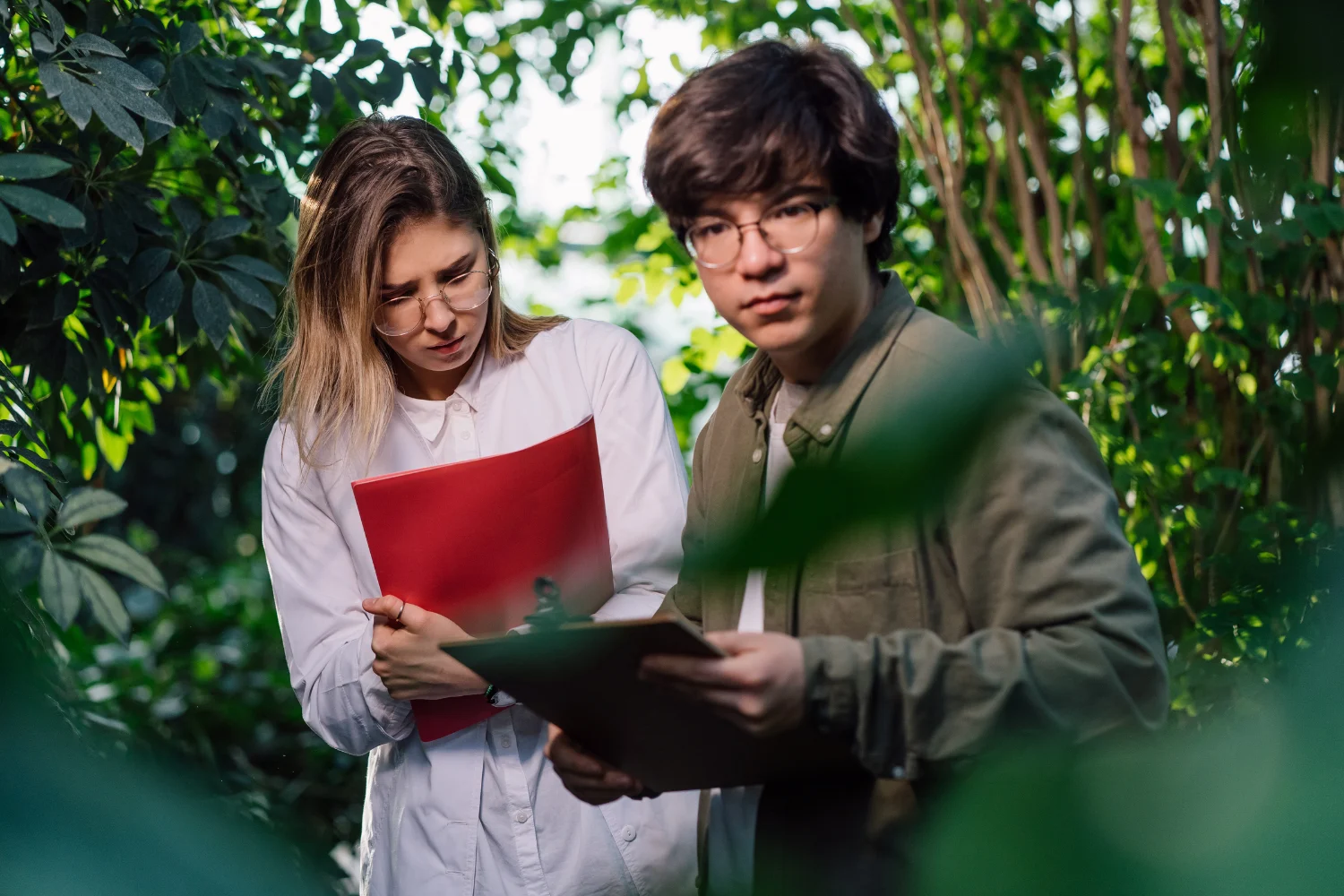 Master Of Arts (Sustainability Science)
