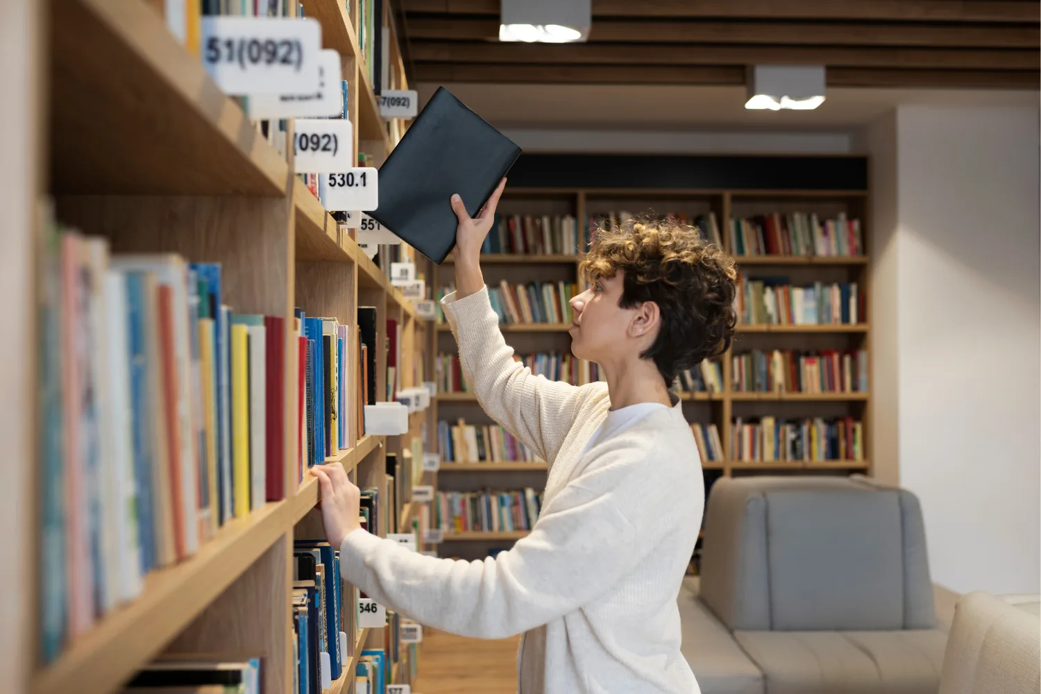 master of library and information sciences